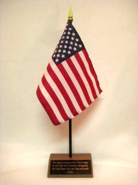 !9th Amendment Text American Desk Flag Set