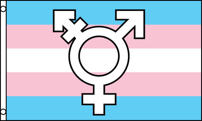 Transgender Symbol Flag
