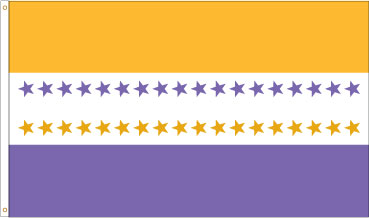 19th Amendment Ratification Banner; Suffragette Flag