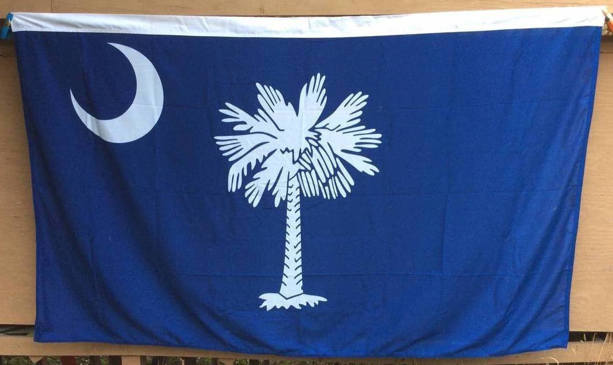 South Carolina flag