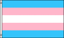 Transgender Flag