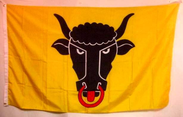 Steer Flag